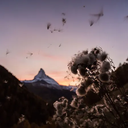 Berghof 4* Zermatt